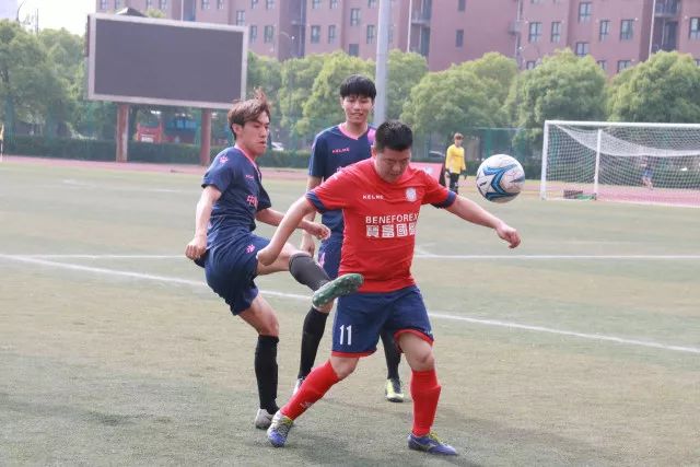 CBA赛季初三名教练面临执教危机